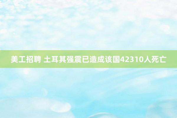 美工招聘 土耳其强震已造成该国42310人死亡