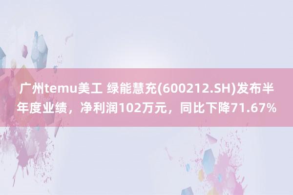 广州temu美工 绿能慧充(600212.SH)发布半年度业绩，净利润102万元，同比下降71.67%